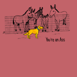 You're An Ass